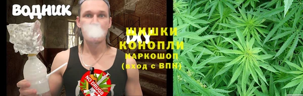 ECSTASY Заводоуковск