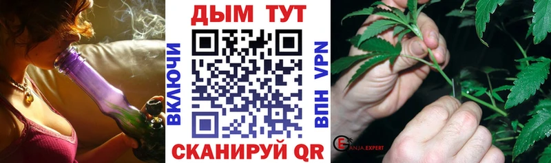 Каннабис OG Kush  Купить где  Назрань 